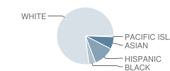 Laura Donovan School Student Race Distribution