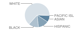 Smithville Elementary School Student Race Distribution