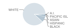 Gloucester County Institute Technology School Student Race Distribution