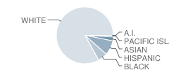 Taunton School Student Race Distribution