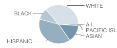 Hcst North Hudson Center School Student Race Distribution