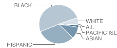 Number 20 School Student Race Distribution