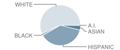 Schuyler School Student Race Distribution