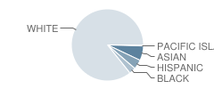 Belhaven Middle School Student Race Distribution