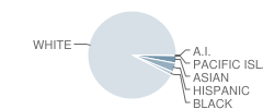 Middletown High School South Student Race Distribution