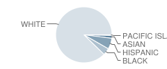 Port Monmouth School Student Race Distribution