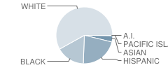 Frelinghuysen School Student Race Distribution