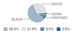 Summerfield School Student Race Distribution