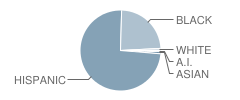 Dr William H Horton School Student Race Distribution