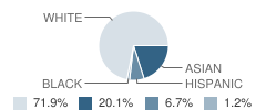 River Dell Regional High School Student Race Distribution