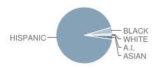 Number 16 School Student Race Distribution