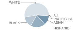 Somerset County Vocational Technology High School Student Race Distribution