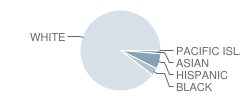 Sussex City Technology High School Student Race Distribution