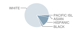 Pine Beach Elementary School Student Race Distribution