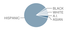 Woodrow Wilson School Student Race Distribution