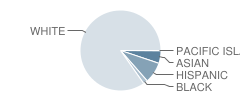 George Washington School Student Race Distribution