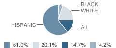 La Academia De Esper School Student Race Distribution