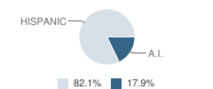 Chrysalis Alternative School Student Race Distribution