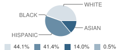 High Technology High School Student Race Distribution