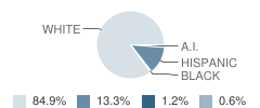 N. Alb. Co-Op Community School Student Race Distribution