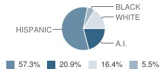 Nm School for the Deaf Student Race Distribution