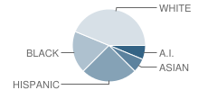 Childrens Psychiatry School Student Race Distribution