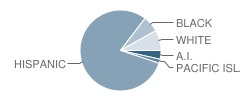 Horizon Academy West Student Race Distribution