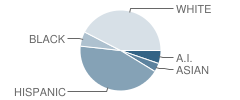 Gilbert L Sena Charter High School Student Race Distribution