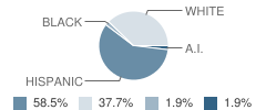 Cien Aguas Internal School Student Race Distribution