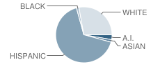 Vista Grande Elementary School Student Race Distribution