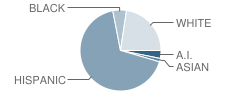 Sacramento Elementary School Student Race Distribution