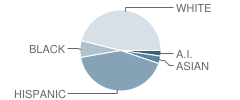 Mt. View Middle School Student Race Distribution