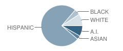 Van Buren Middle School Student Race Distribution