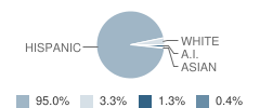 South Valley Charter School Student Race Distribution