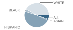 Amy Biehl Charter H. School Student Race Distribution