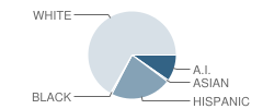 San Juan Juvenile Detention Center School Student Race Distribution