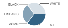 Central Primary School Student Race Distribution