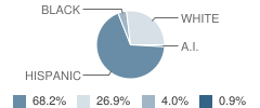 Hillcrest Elementary School Student Race Distribution