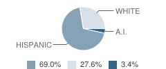 Carrizozo Elementary School Student Race Distribution