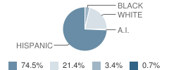 Lincoln Jackson Elementary School Student Race Distribution