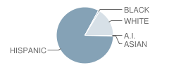 Deming High School Student Race Distribution