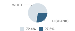 Elida High School Student Race Distribution