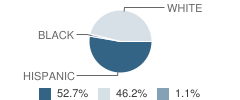 Mettie Jordan Elementary School Student Race Distribution