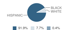 Chaparral Elementary School Student Race Distribution