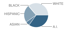 Red Rock Elementary School Student Race Distribution