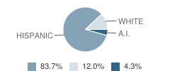 Gallina Elementary School Student Race Distribution