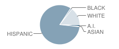 Central Elementary School Student Race Distribution