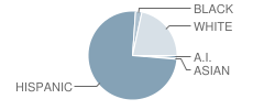 Llano Elementary School Student Race Distribution