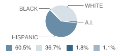 Raton Middle School Student Race Distribution