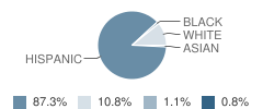 Sunset Elementary School Student Race Distribution